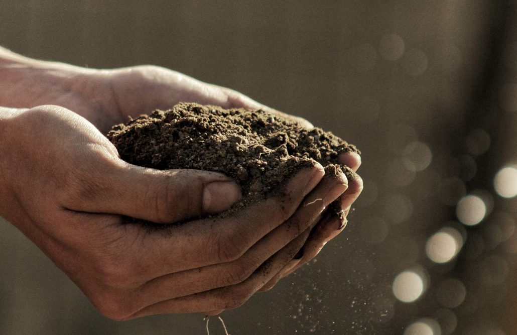 hands-planting-gabriel-jimenez-241711-low-res